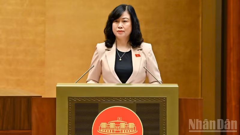 Bộ trưởng Y tế Đào Hồng Lan trình bày tóm tắt tờ trình. (Ảnh: DUY LINH)
