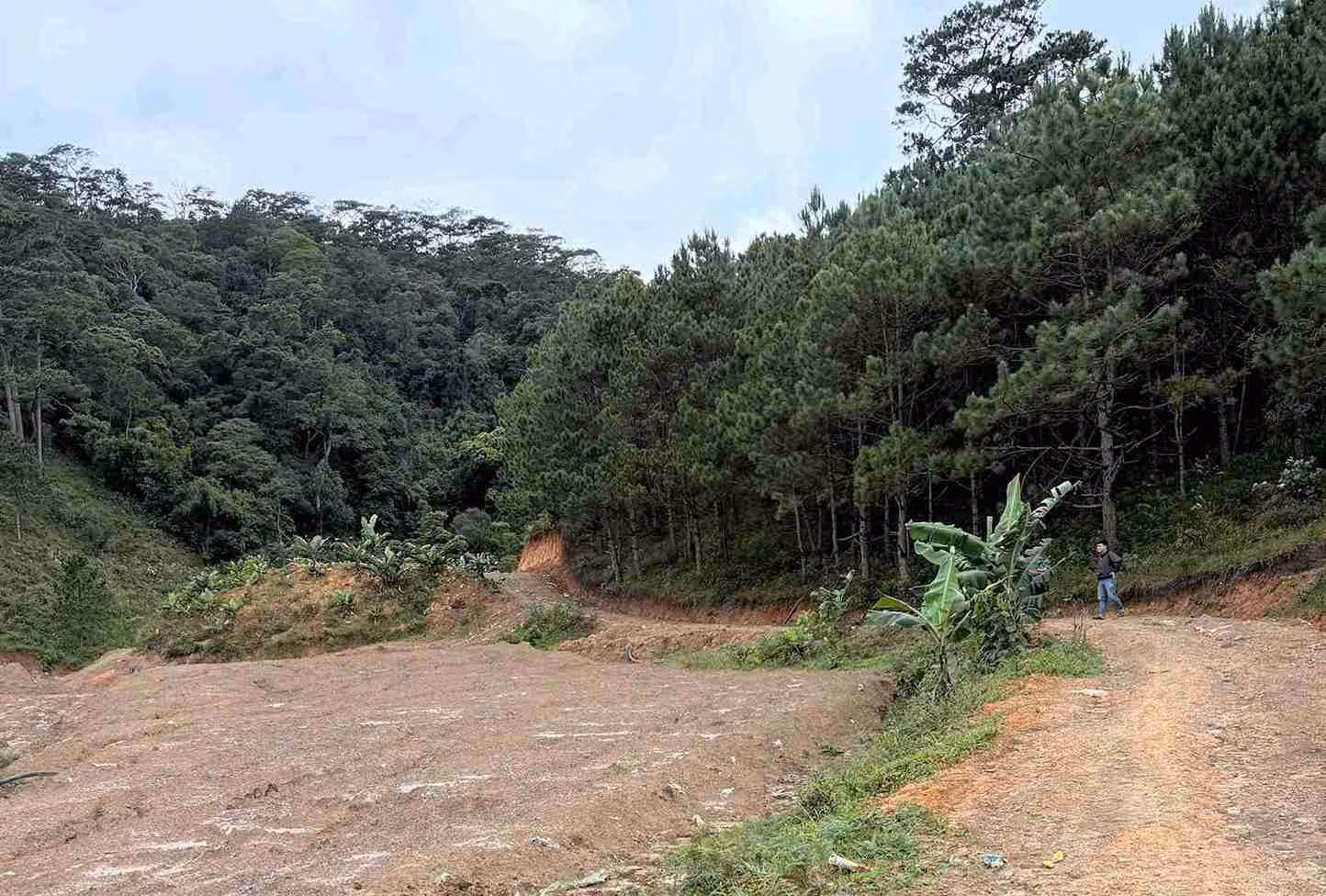 Con đường dẫn vào khu vực khai thác vàng được công an ém quân chốt chặn để triệt phá. Ảnh: Công an cung cấp