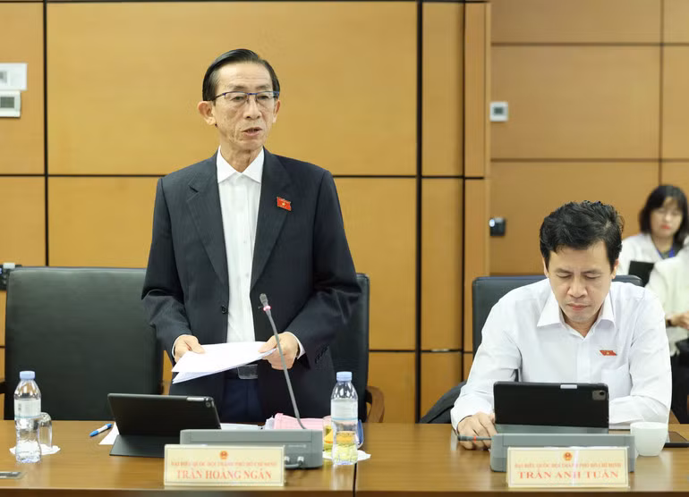 Đại biểu Trần Hoàng Ngân (Thành phố Hồ Chí Minh) phát biểu. (Ảnh: DUY LINH)