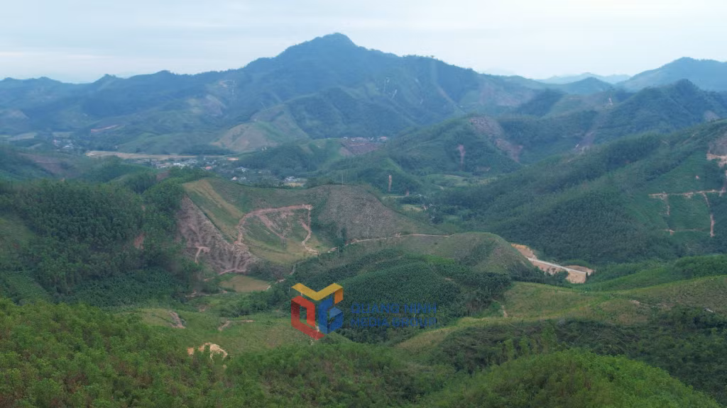 Khoai sọ nương từ lâu đã được người dân trồng tại vùng núi Đồng Sơn (TP Hạ Long).