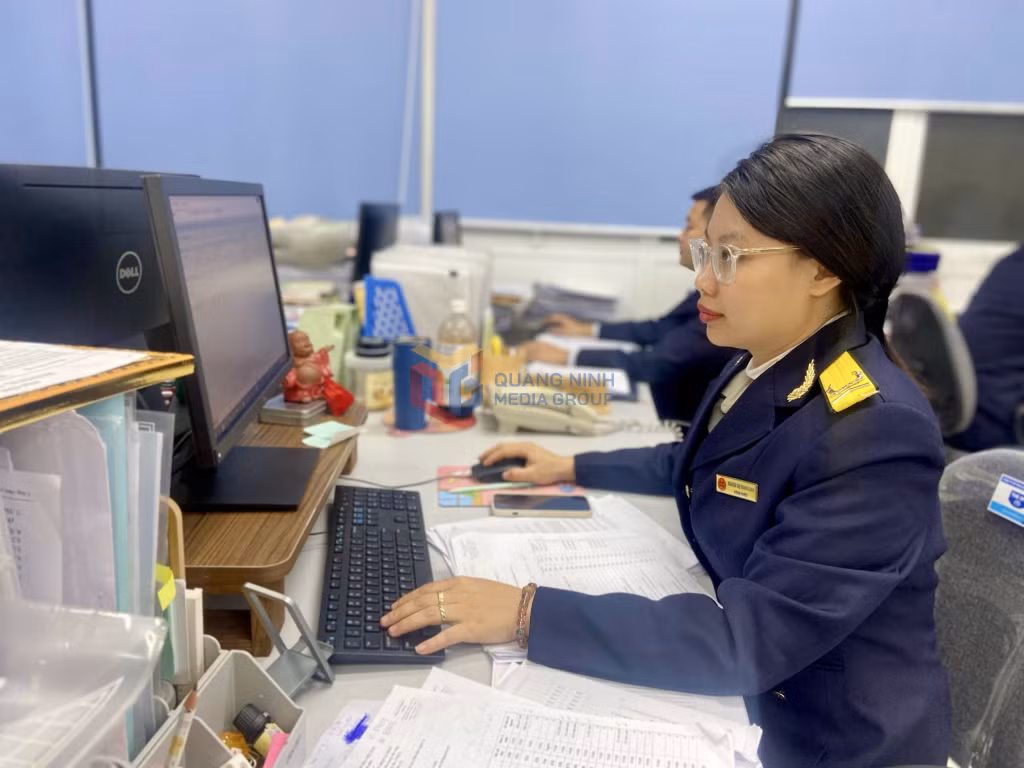 Cán bộ Chi cục Thuế TP Hạ Long rà soát, đôn đốc các doanh nghiệp nộp thuế theo đúng quy định, đảm bảo mục tiêu thu NSNN. Ảnh: Minh Đức