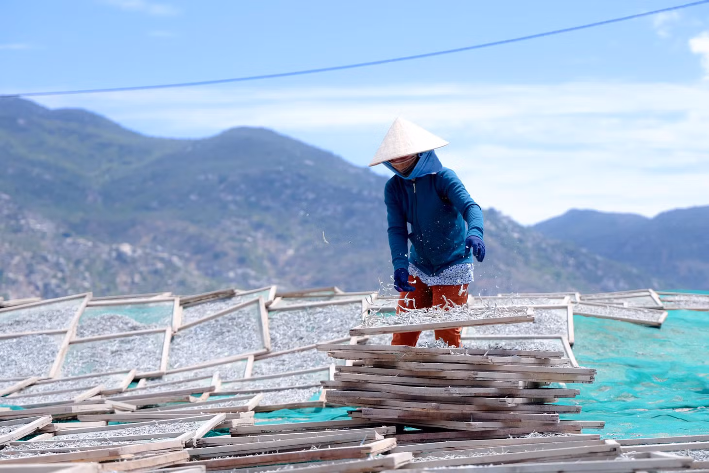 Theo kinh nghiệm, cá cơm cứ đưa vào lò hấp chừng 15 phút là đủ độ chín, giữ được mùi vị thơm ngon nhất. Ảnh: Lữ Duy Tường