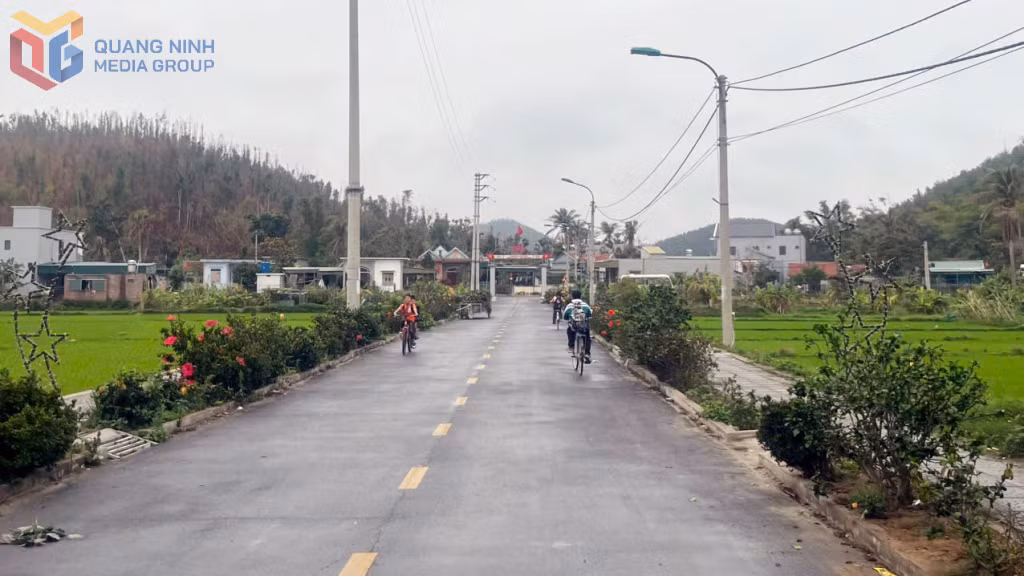 Đường trục chính thôn Bình Minh, xã Ngọc Vừng (huyện Vân Đồn) được thảm nhựa cùng rặng hoa hai bên đường, hệ thống điện chiếu sáng giúp người dân đi lại thuận lợi, phục vụ du lịch.
