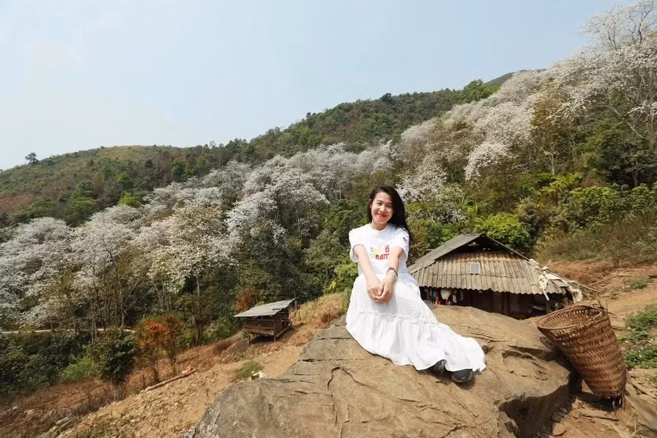 Trong chuyến du lịch Điện Biên 4 ngày mới đây, chị Dung (Hà Nội) dành thời gian ghé thăm Nặm Cứm. Khi bước vào ngôi làng, chị cảm giác như "lạc vào thế giới cổ tích": hoa ban nở trắng xóa, khoe sắc giữa núi rừng, đan xen với màu lúa non xanh mướt. "Bà con ở bản còn nghèo, chưa có hộ nào làm homestay nhưng họ rất trân trọng, bảo vệ những cây ban cổ thụ. Điều đó làm mình ấn tượng và xúc động", chị Dung chia sẻ. Ảnh: Dung Nguyễn.
