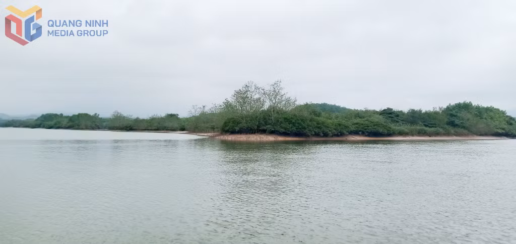Đoạn sông được đặt tên là Cổ Ngựa.