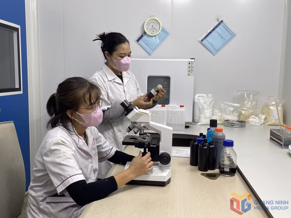 Nghiên cứu sản xuất dược liệu tại Công ty TNHH Nuôi trồng, sản xuất và chế biến dược liệu Đông Bắc.