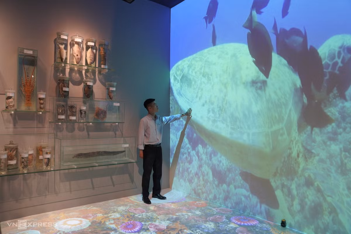 Tại không gian trưng bày hệ sinh thái biển, bảo tàng ứng dụng công nghệ trình chiếu 3D mapping tương tác để giúp khách có cơ hội trải nghiệm, khám phá những điều thú vị từ thế giới đại dương.