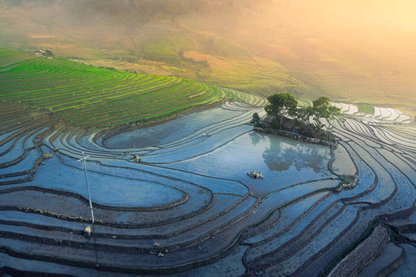 Để có những thửa ruộng này, người Mông ở Sàng Ma Sáo đã chọn những vùng đất có độ dốc vừa phải, thuận lợi để đón nước mưa, nước suối. Ảnh: Trần Tiến Dũng