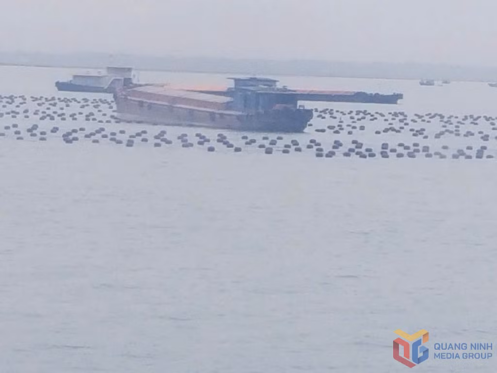 Nuôi trồng thuỷ sản 