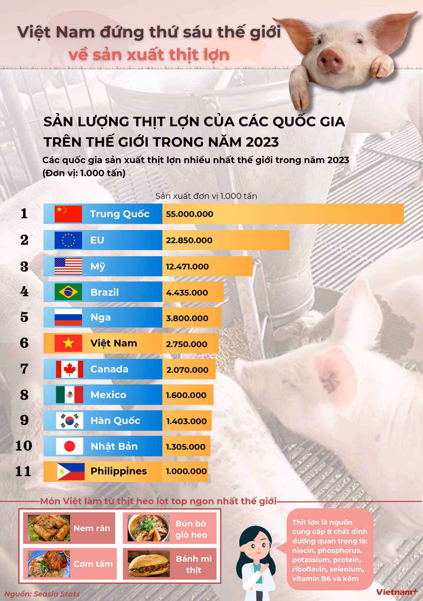 Việt Nam đứng thứ 6 thế giới về sản xuất thịt lợn ảnh 1