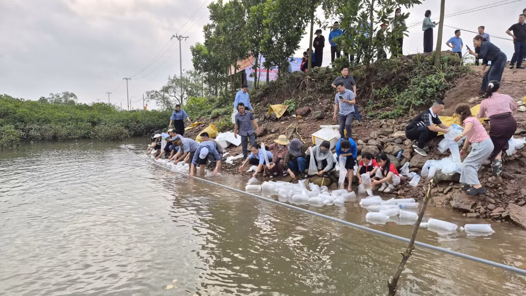 Đông đảo đại biểu và nhân dân tham gia Lễ thả giống tái tạo nguồn lợi thủy sản năm 2026.