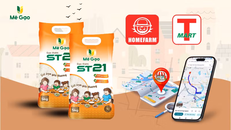 Mua gạo ST21 ở đâu tại Hà Nội? Uy tín, Giao nhanh ảnh 1 Mua gạo ST21 ở đâu tại Hà Nội? Uy tín, Giao nhanh ảnh 1