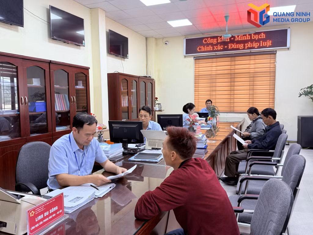 bqn_tr_2492433_anh_1_1_15503330.jpg