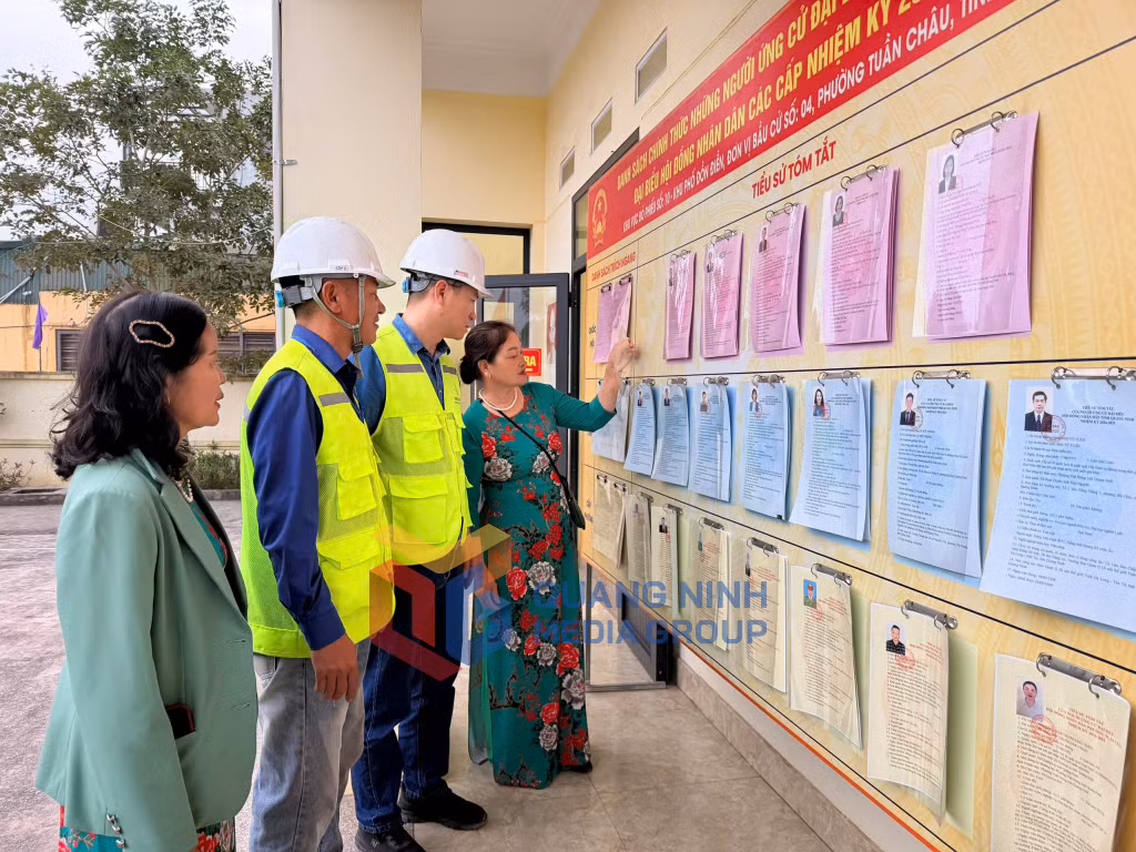 Cử tri tại điểm bầu cử số 10, khu Đồn Điền, phường Tuần Châu, nghiên cứu danh sách, tiểu sử các ứng cử viên, cách thức bỏ phiếu trước khi thực hiện quyền bầu cử.