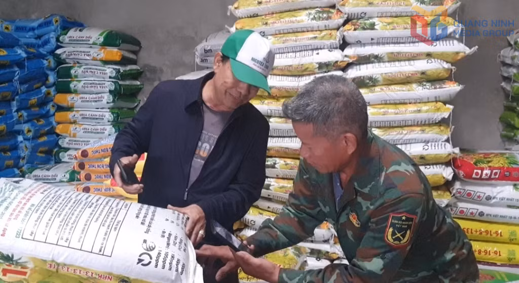 Người dân phường An Sinh mua phân bón chăm sóc cây trồng.