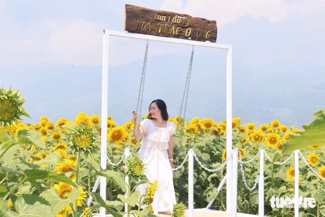 Và xích đu