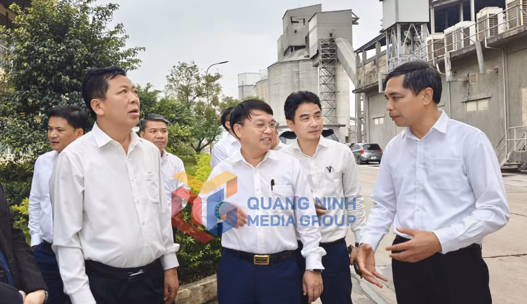 Đồng chí Bộ trưởng Bộ Xây dựng khảo sát hiện trạng Nhà máy Xi măng Hạ Long và nghe báo cáo nhanh về phương án chuyển đổi, di dời Nhà máy Xi măng Hạ Long và Nhà máy xi măng Thăng Long.