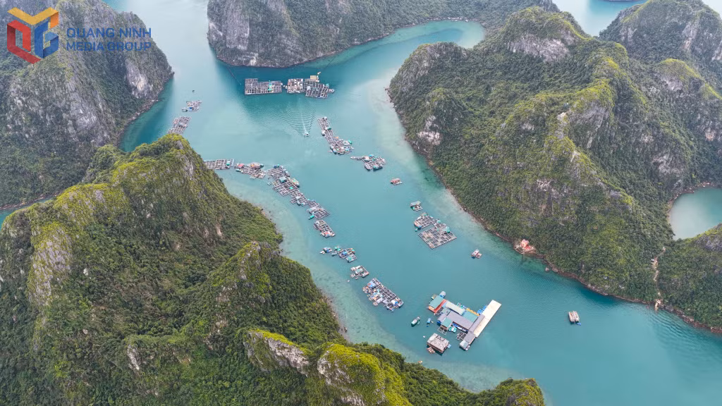 Làng chài Cửa Vạn thanh bình trên Vịnh Hạ Long.