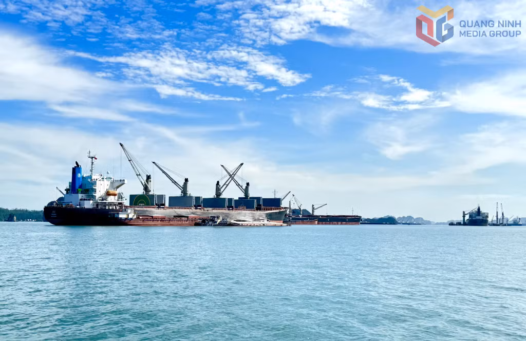 Doanh nghiệp hoạt động logictics tại khu vực cảng Con Ong - Hòn Nét. 