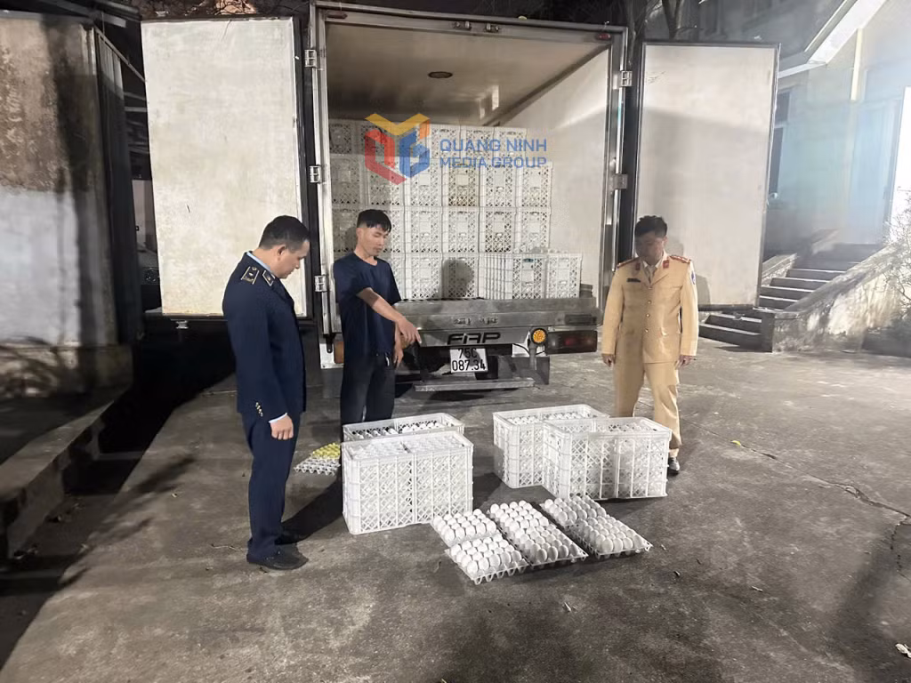 Đội Quản lý thị trường số 4 (Chi cục Quản lý thị trường Quảng Ninh) phối hợp với Đội CSGT đường bộ số 3 (Phòng Cảnh sát giao thông, Công an tỉnh) bắt giữ Bùi Đức Thành, trú tại xã Quảng Đức vận chuyển trái phép 28.800 quả trứng gia cầm ngày 20/2/2026. 