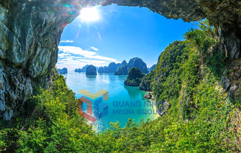 2026-01_Hệ thảm thực vật trên vịnh Bái Tử Long vô cùng phong phú với gần 800 loài... Ảnh: Thu Chung