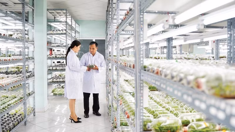 Phòng nuôi cấy mô cây giống, Khu Nông nghiệp công nghệ cao Thành phố Hồ Chí Minh. Ảnh: Khánh Trình
