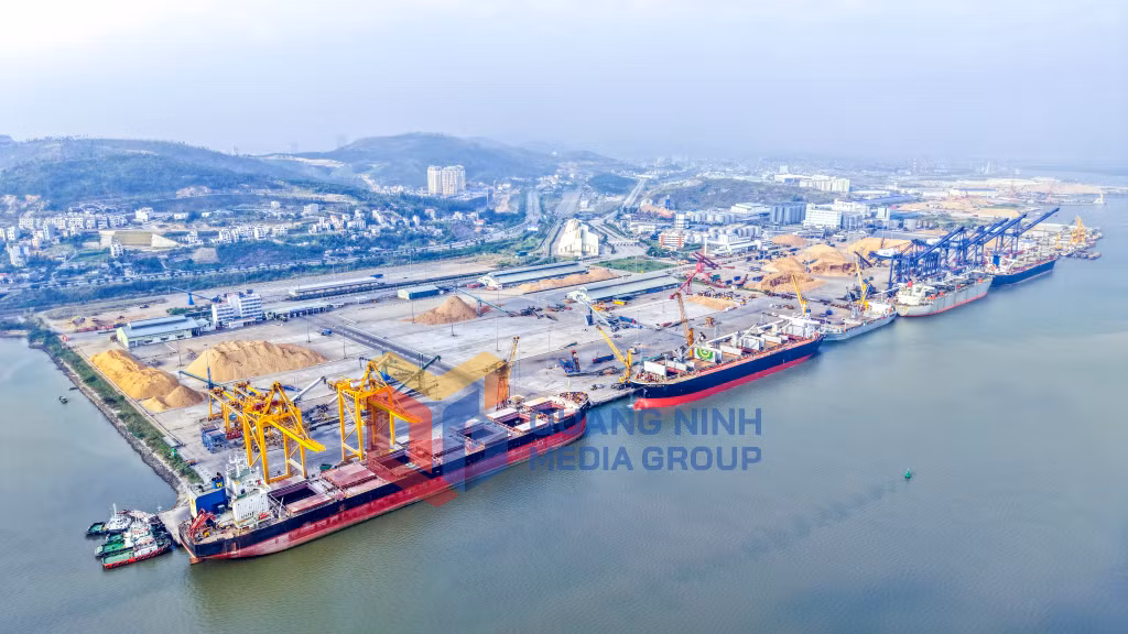Tàu hàng trọng tải lớn vào làm hàng tại Cảng Cái Lân (1-2026). Ảnh: Cao Quỳnh