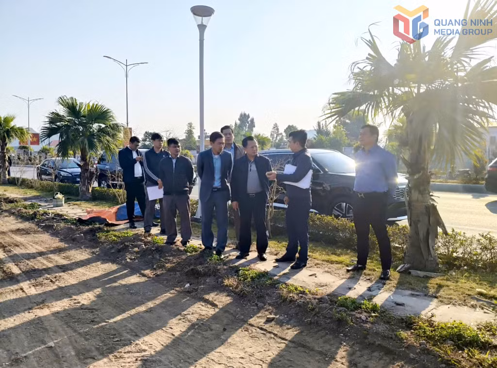 Đồng chí Cao Tường Huy, Ủy viên Ban Thường vụ Tỉnh ủy, Bí thư Đảng ủy, Chủ tịch HĐND đặc khu Vân Đồn kiểm tra dự án cải tạo, chỉnh trang khu đô thị Thống Nhất