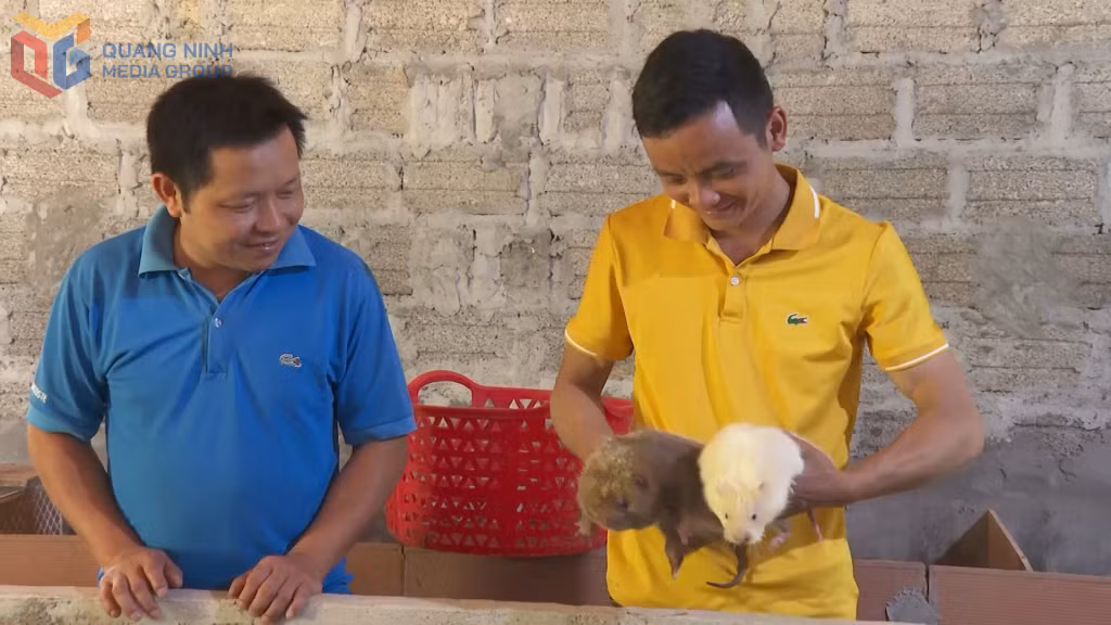 Anh Triệu Kim Vày, đảng viên Chi bộ thôn Nà Làng, xã Ba Chẽ (bên phải) chia sẻ kinh nghiệm nuôi dúi.