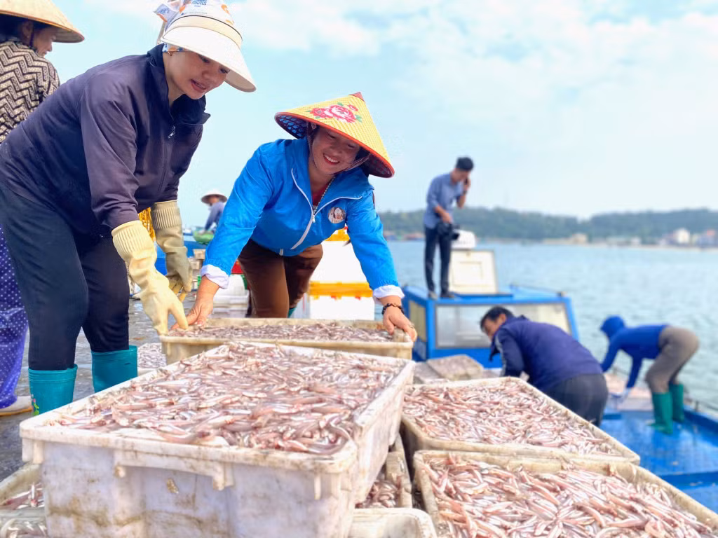 Ngư dân đặc khu Cô Tô khai thác thủy sản. Ảnh: Thu Báu (CTV)