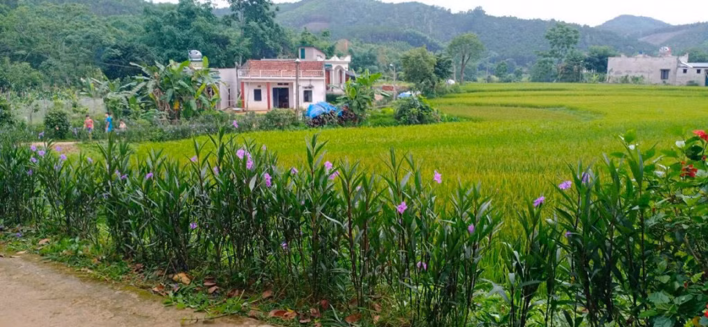 Quang cảnh, diện mạo thôn Nà Bắp, xã Đồn Đạc, huyện Ba Chẽ.