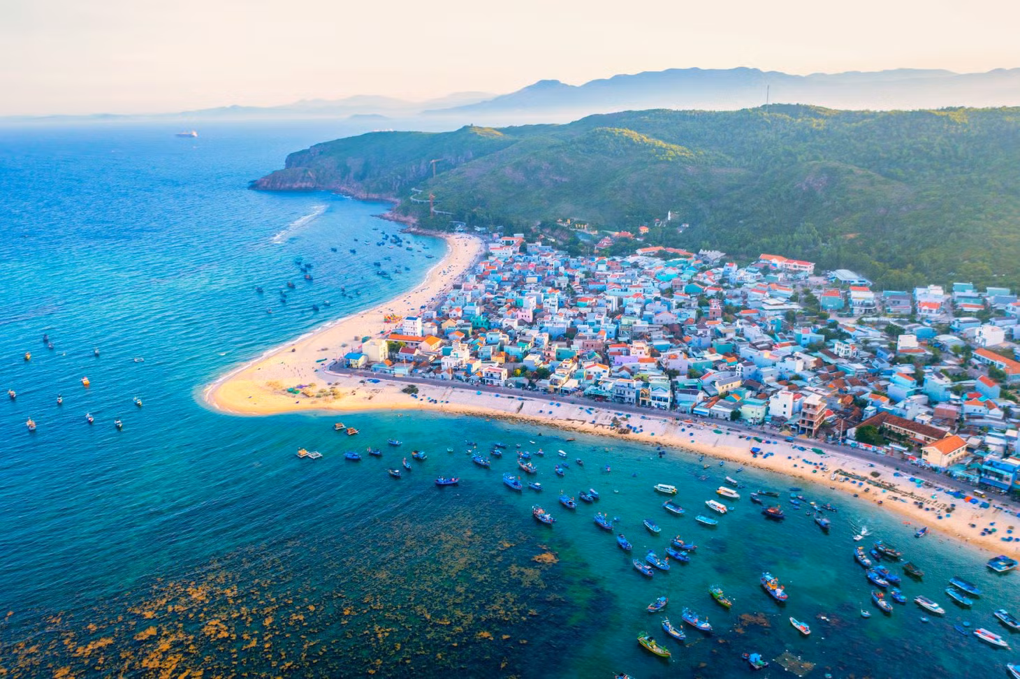 rong mo quy nhon anh 1