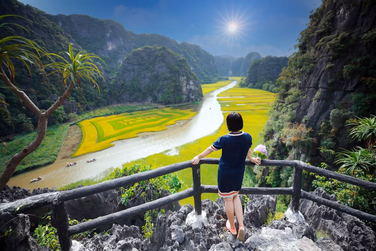 Tam Cốc mùa lúa chín ảnh 5
