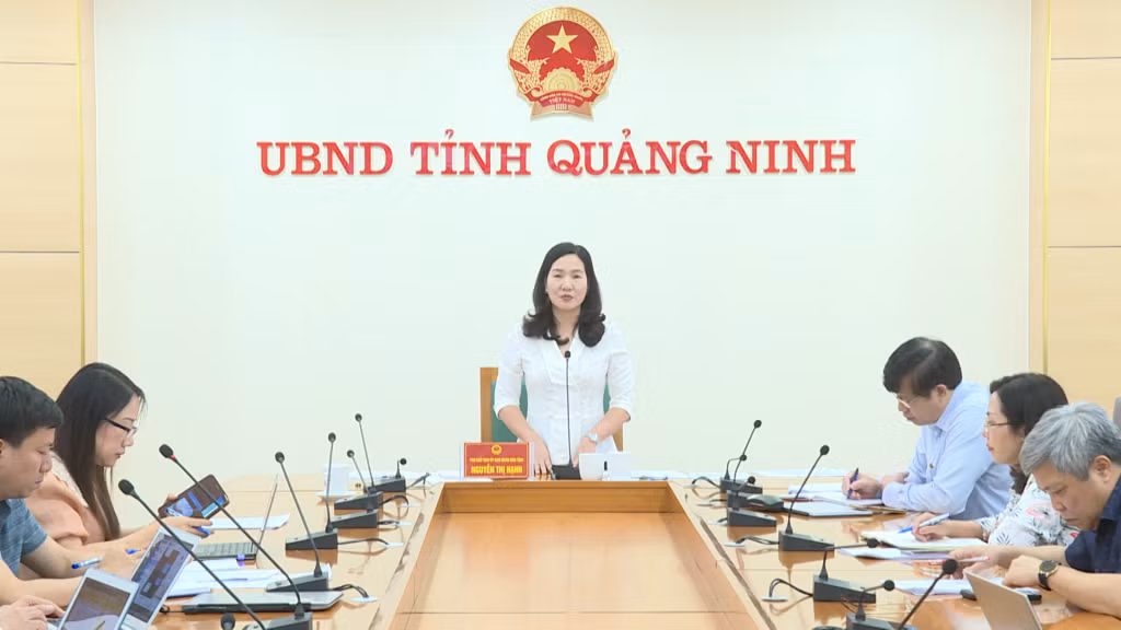 Đồng chí Nguyễn Thị Hạnh, Phó Chủ tịch UBND tỉnh, phát biểu chỉ đạo tại hội nghị.