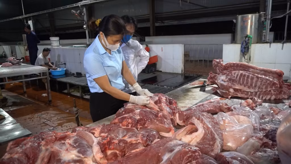 Cán bộ thú y kiểm soát giết mổ tại Cơ sở Giết mổ tập trung Đức Hà, TP Uông Bí . Ảnh; Đinh Hằng