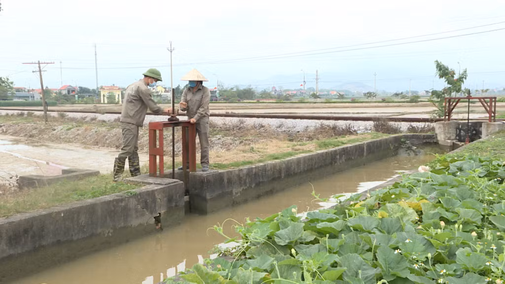 Công nhân Công ty TNHH MTV thủy lợi Đông Triều vận hành hệ thống kênh mương thủy lợi phục vụ sản xuất nông nghiệp.