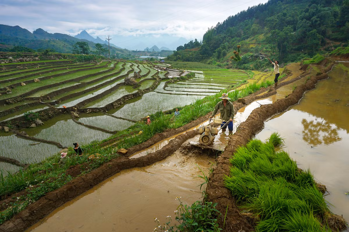 Lai Châu mùa nước đổ ảnh 3 Lai Châu mùa nước đổ ảnh 3