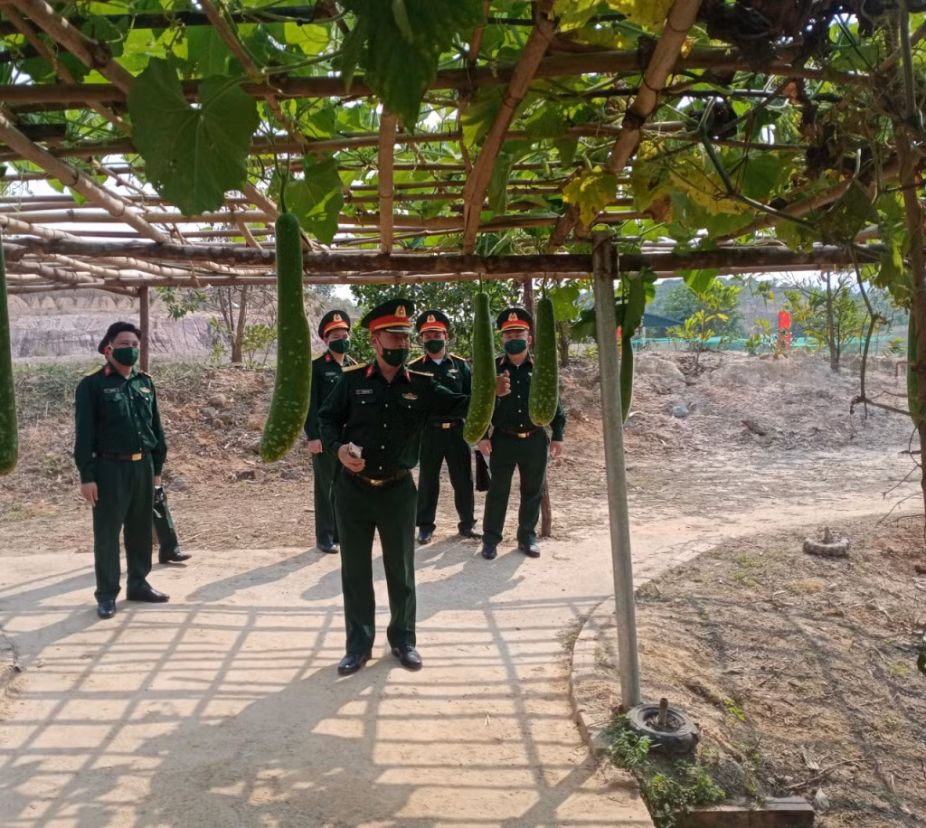 Đoàn công tác của Cục hậu cần (Quân khu 4) tham quan mô hình tăng gia sản xuất của Ban CHQS TP Hạ Long.