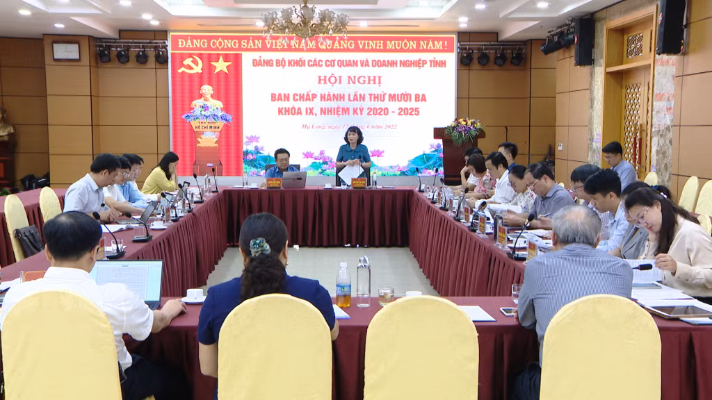 Đồng chí Nguyễn Thị Vinh, Tỉnh ủy viên, Bí thư Đảng ủy Khối các cơ quan và doanh nghiệp tỉnh, phát biểu tại hội nghị.