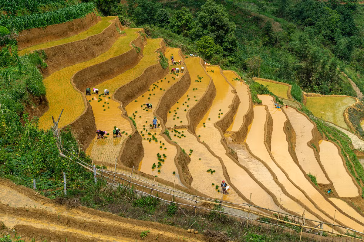 Lai Châu mùa nước đổ ảnh 1 Lai Châu mùa nước đổ ảnh 1