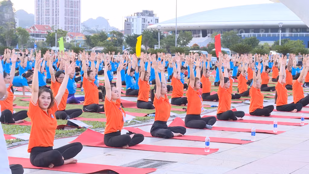 Ngày Quốc tế Yoga lần thứ 8 tại Quảng Ninh thu hút 3000 huấn luyện viên, vận động viên các CLB Yoga và những người yêu thích, thực hành Yoga.