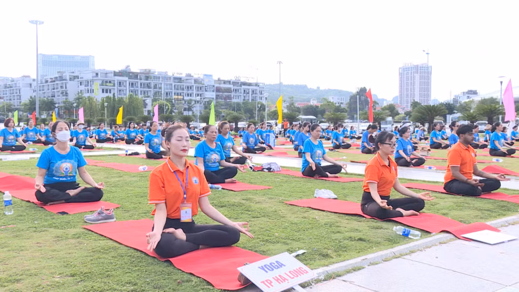 Luyện tập Yoga mang tới sự cân bằng, thư thái.