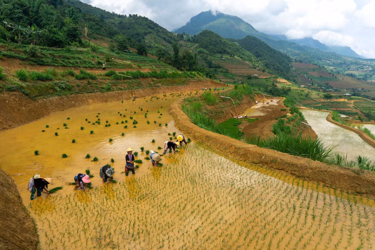 Lai Châu mùa nước đổ ảnh 2 Lai Châu mùa nước đổ ảnh 2