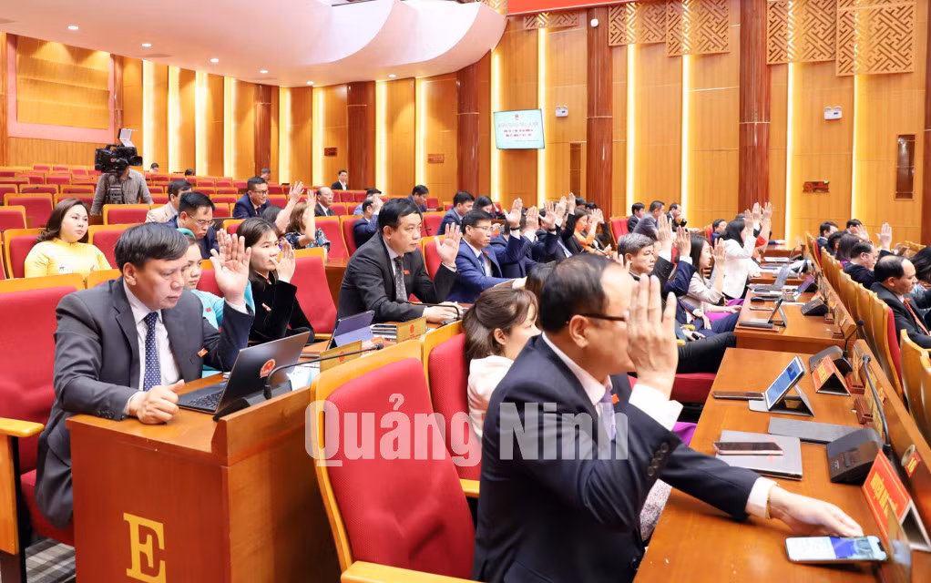 Các đại biểu biểu quyết thông qua nghị quyết tại Kỳ họp thứ 23, HĐND tỉnh khóa XIII (3-2021). Ảnh: Trúc Linh