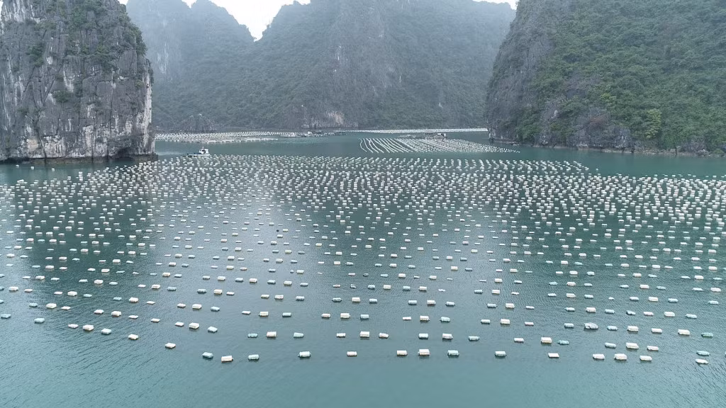 Hiện việc chuyển đổi và sử dụng vật liệu làm phao nổi phù hợp, đáp ứng yêu cầu Quy chuẩn kỹ thuật trên địa bàn tỉnh vẫn diễn ra rất chậm.