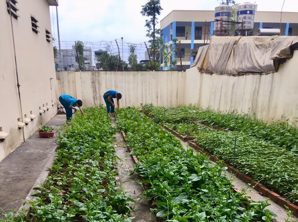 Hoạt động tăng gia sản xuất tại Ban CHQS TP Cẩm Phả.