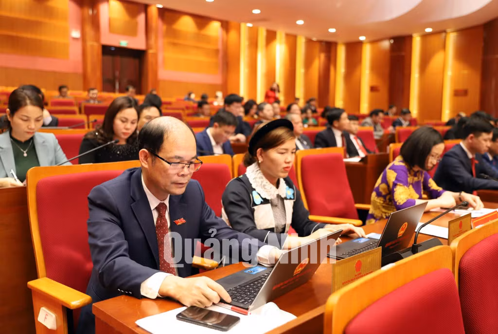 Các đại biểu nghiên cứu tài liệu tại kỳ họp (3-2021). Ảnh: Trúc Linh