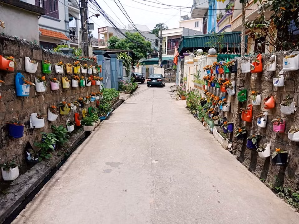 Từ mô hình đường hoa, những bức tường hoen ố, rêu mốc giờ đã trở lên sống động với những giỏ hoa xinh xắn làm từ các vỏ can, hộp nhựa đã qua sử dụng.