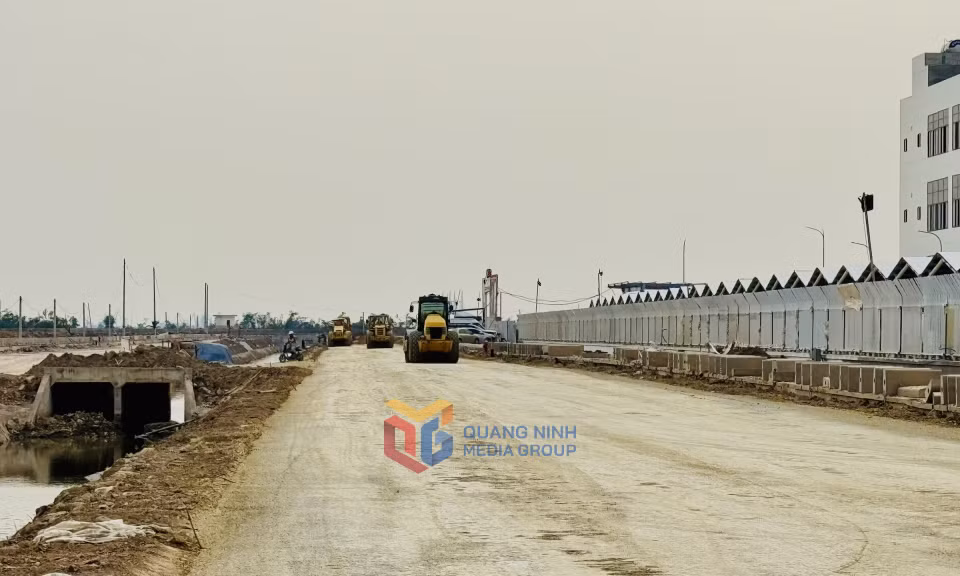 Thi công san nền dự án hạ tầng KCN Bắc Tiền Phong. Ảnh: Mạnh Trường