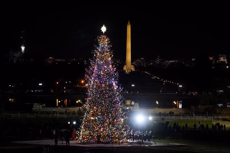 Cây thông Noel ở thủ đô Washington DC, Mỹ. Ảnh: Reuters